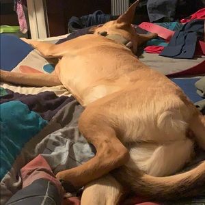 Meet your Posher, Patrick